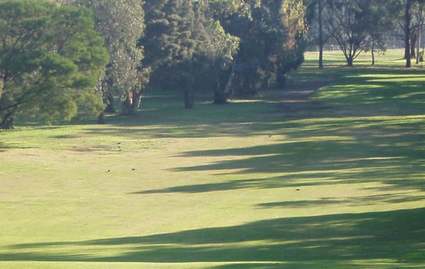 9th Hole – Par 4 (303 metres)